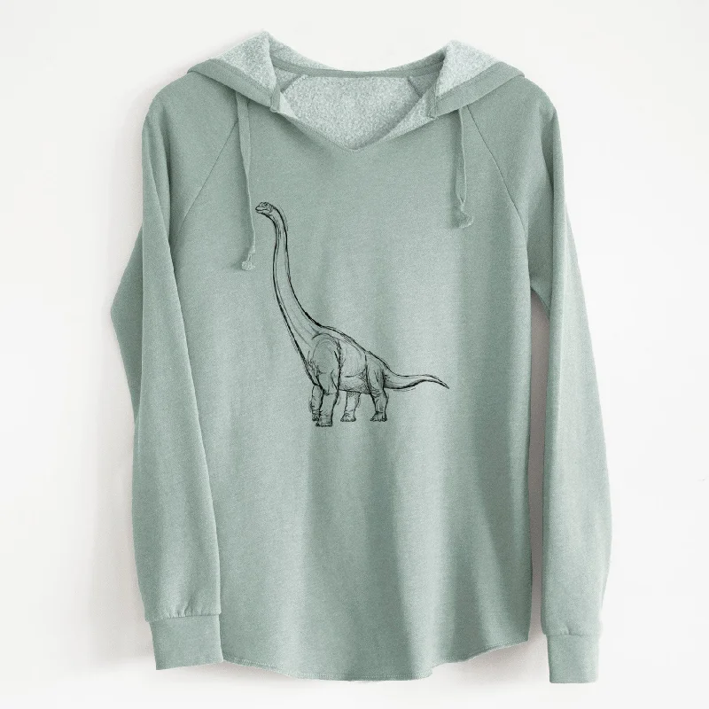 Colorblock HoodiesApatosaurus Excelsus - Cali Wave Hooded Sweatshirt