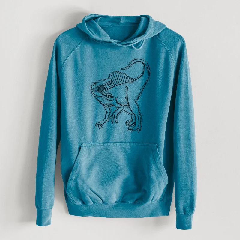 Running SweatshirtsSpinosaurus Aegyptiacus  - Mid-Weight Unisex Vintage 100% Cotton Hoodie